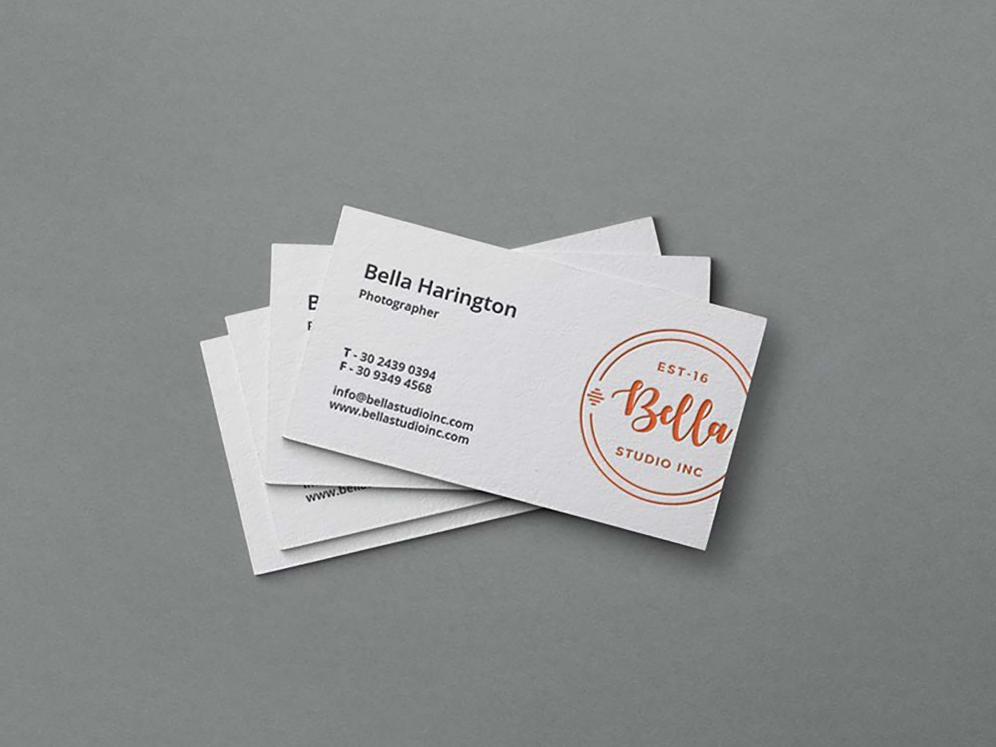 500 Executive Business Cards